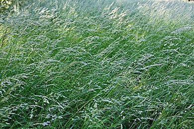 NBA 2K23: 第四赛季场边报告